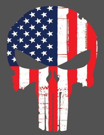 6" USA Punisher Decal